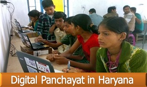 D.P. haryana